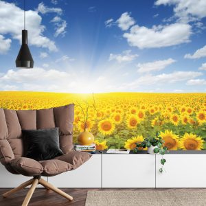 Papier Peint Champ De Tournesols En Fleurs – Image 4