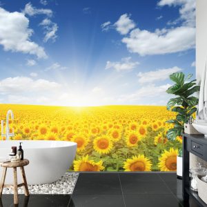 Papier Peint Champ De Tournesols En Fleurs – Image 5