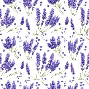 Papier Peint Forêt Dans Le Brouillard – Image 1