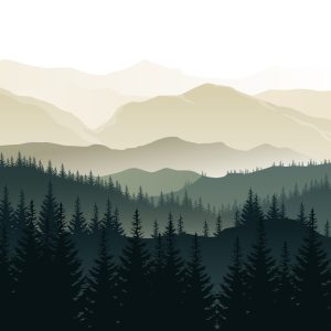 Papier Peint Montagnes Noir Et Blanc – Image 1