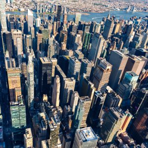 Papier Peint Forêt De Gratte-Ciel – Image 1