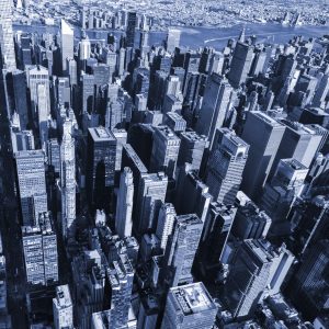 Papier Peint Forêt De Gratte-Ciel En Bleu – Image 1