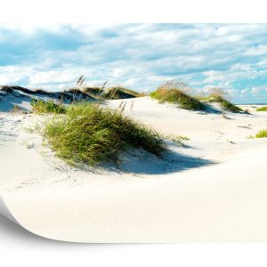 Papier Peint Après-Midi Dans Les Dunes – Image 2