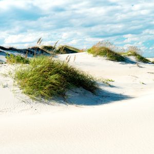 Papier Peint Après-Midi Dans Les Dunes – Image 1
