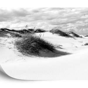 Papier Peint Après-Midi Dans Les Dunes Noir & Blanc – Image 2