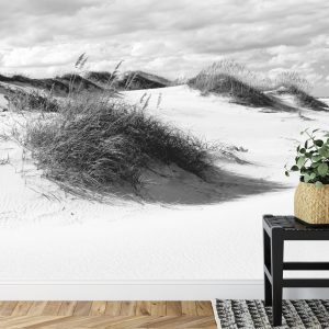 Papier Peint Après-Midi Dans Les Dunes Noir & Blanc – Image 7