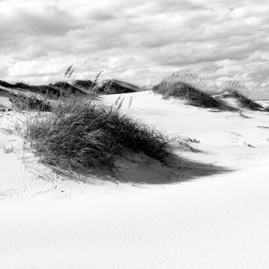 Papier Peint Après-Midi Dans Les Dunes Noir & Blanc – Image 1