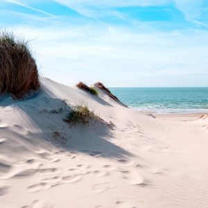 Papier Peint Le Chemin De La Mer – Image 1