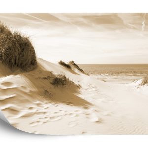 Papier Peint Le Chemin De La Mer Sépia – Image 2