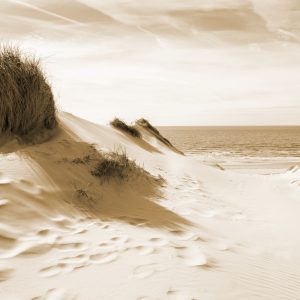 Papier Peint Le Chemin De La Mer Sépia – Image 1