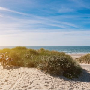 Papier Peint Le Dernier Du Soleil D'été – Image 1