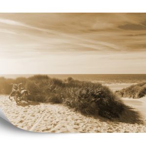 Papier Peint Le Dernier De L'été Soleil Sépia – Image 2