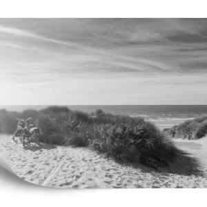 Papier Peint Le Dernier Du Soleil D'été Noir Et Blanc – Image 2