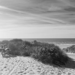 Papier Peint Le Dernier Du Soleil D'été Noir Et Blanc – Image 1