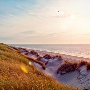 Papier Peint Lever Du Soleil Sur Les Dunes – Image 1