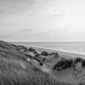 Papier Peint Dune Sunrise Noir & Blanc – Image 1