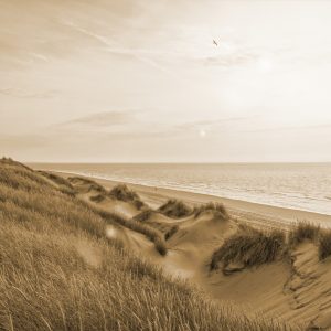 Papier Peint Dune Sunrise Sépia – Image 1