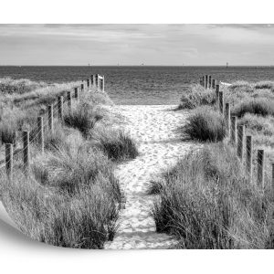 Papier Peint Descendons À La Plage Noir & Blanc – Image 2