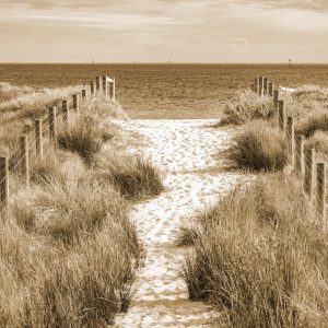 Papier Peint Descendons À La Plage Sépia – Image 1