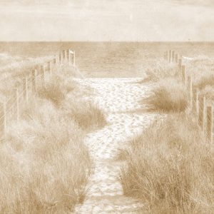 Papier Peint Descendons Au Beach Faded Vintage Sepia – Image 1