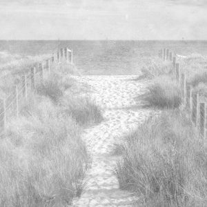 Papier Peint Descendons À La Plage Faded Vintage Black & White – Image 1