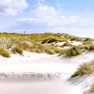 Papier Peint Paradis Des Dunes – Image 1