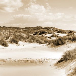 Papier Peint Paradis Des Dunes En Sépia – Image 1