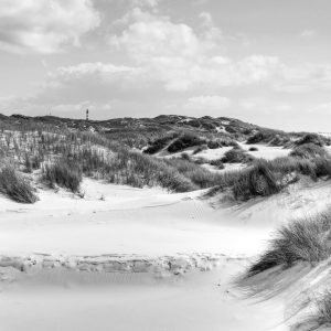 Papier Peint Paradis Des Dunes En Noir Et Blanc – Image 1