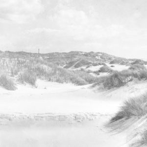 Papier Peint Dune Paradise Faded Vintage En Noir Et Blanc – Image 1