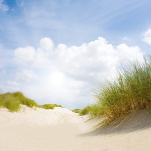 Papier Peint Jours De Sable – Image 1