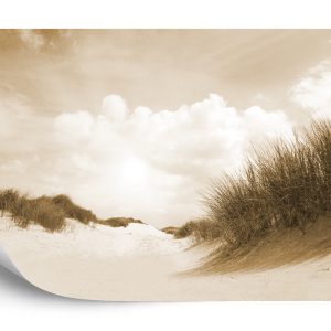 Papier Peint Sandy Days En Sépia – Image 2