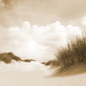 Papier Peint Sandy Days En Sépia – Image 1