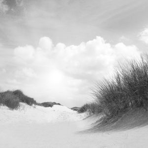 Papier Peint Sandy Days En Noir Et Blanc – Image 1
