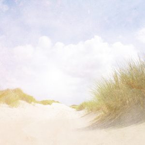 Papier Peint Sandy Days Faded Vintage – Image 1