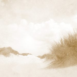 Papier Peint Sandy Days Faded Vintage En Sépia – Image 1