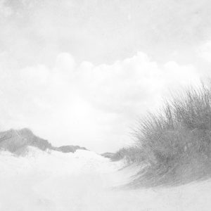 Papier Peint Sandy Days Faded Vintage En Noir Et Blanc – Image 1