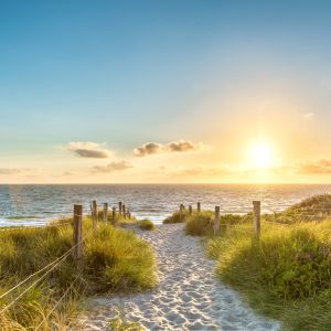 Papier Peint Coucher De Soleil D'été – Image 1