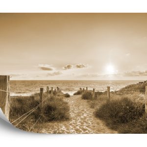 Papier Peint Coucher De Soleil D'été Sépia – Image 2