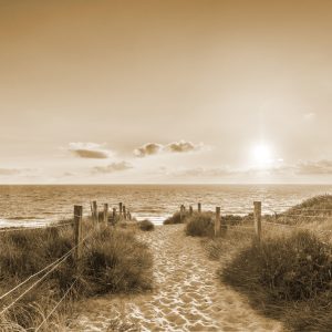 Papier Peint Coucher De Soleil D'été Sépia – Image 1