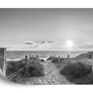 Papier Peint Coucher De Soleil D'été Noir Et Blanc – Image 2