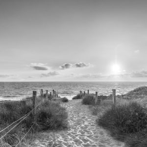 Papier Peint Coucher De Soleil D'été Noir Et Blanc – Image 1