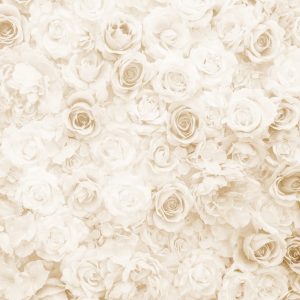 Papier Peint Sépia Floral Délavé – Image 1