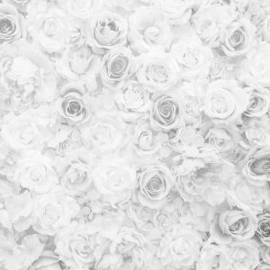 Papier Peint Délavé Floral Vintage Noir & Blanc – Image 1