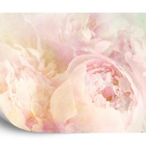 Papier Peint Belles Fleurs Fanées Vintage – Image 2