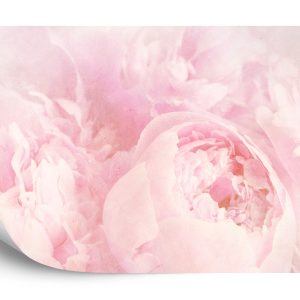 Papier Peint Belles Fleurs Rose Vintage Fané – Image 2