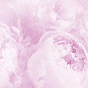 Papier Peint Belles Fleurs Fanées Vintage Violet – Image 1