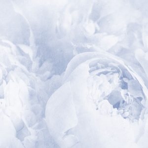 Papier Peint Belles Fleurs Fanées Bleu Vintage – Image 1