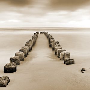 Papier Peint Flux Et Reflux Sépia – Image 1