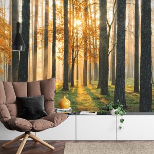 Papier Peint Lever Du Soleil De La Forêt – Image 4