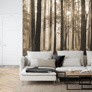 Papier Peint Lever Du Soleil En Sépia – Image 6